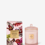 Glasshouse 380G  Candle